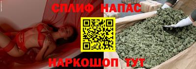 трава Пугачёв