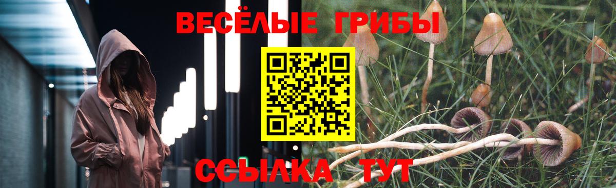 Галлюциногенные грибы MAGIC MUSHROOMS  Вход с VPN  закладки  Галлюциногенные грибы Magic Shrooms  Спасск-Дальний 